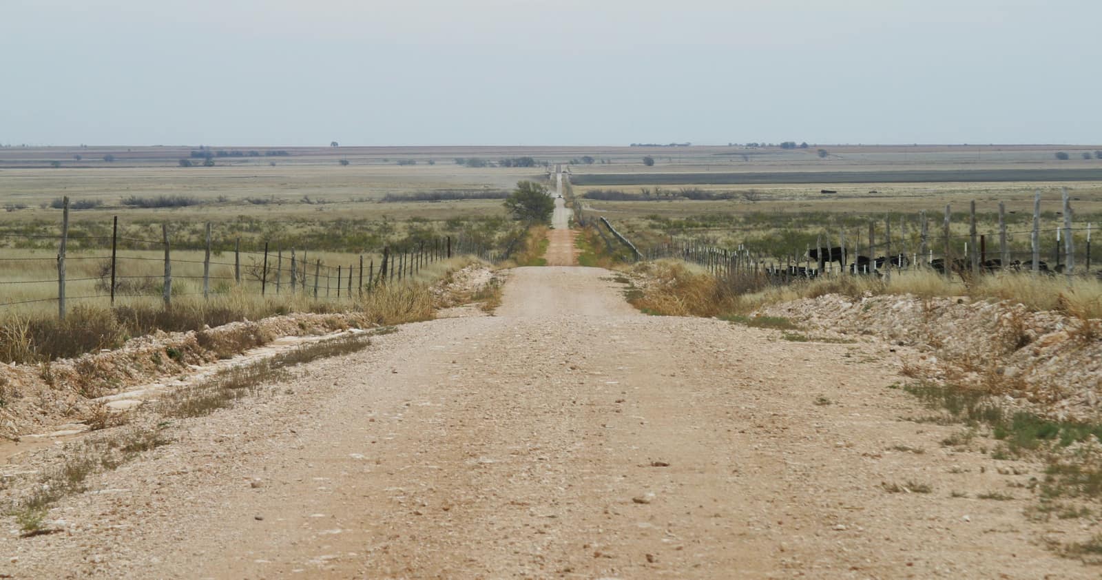 Un camino rural de tierra, recto entre dos cercas, que llega hasta el horizonte en el condado de Bailey