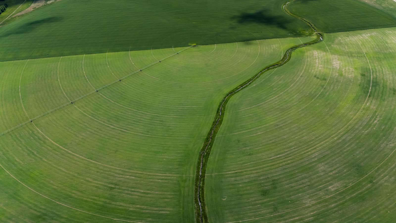 Circles of irrigated farmland seen from the air