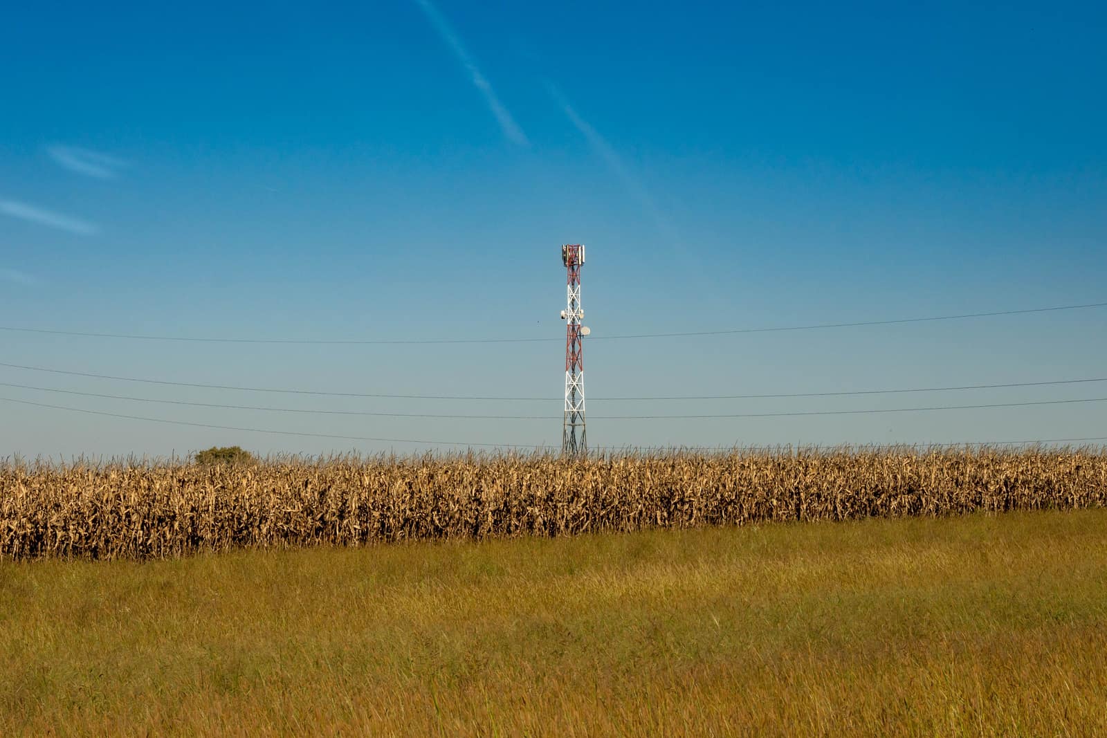 A lone communications tower over a dry field under a clear blue sky
