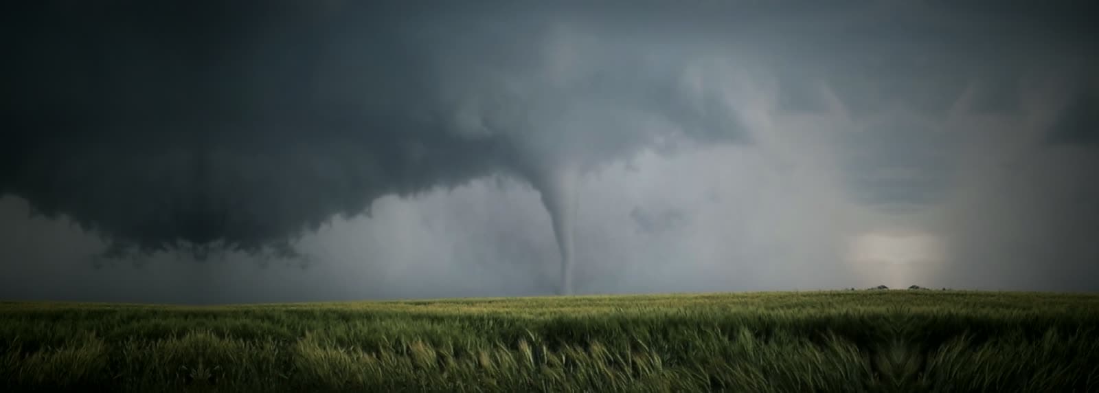 Un tornado toca tierra más allá de un campo verde bajo una nube de tormenta oscura